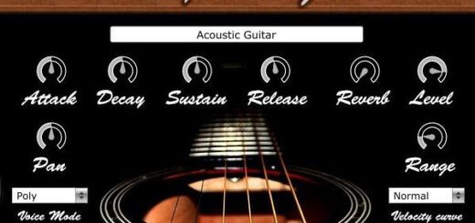 DSK_DynamicGuitars