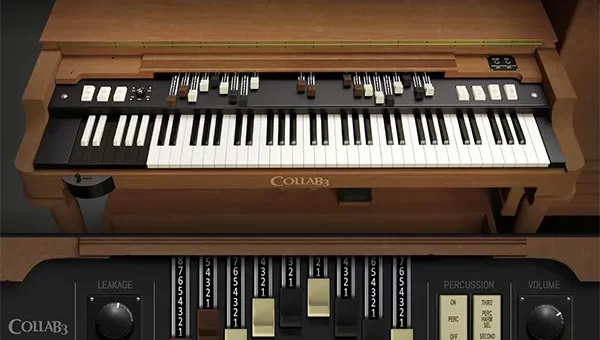 CollaB3 Organ