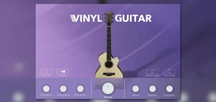 Vinyl-Guitar