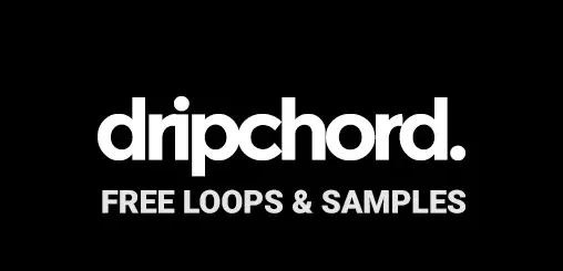 dripchord FREE LOOPS & SAMPLES