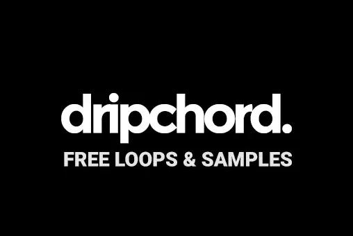 dripchord FREE LOOPS & SAMPLES